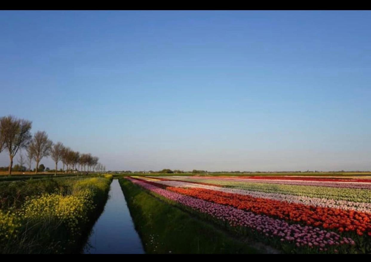 Cozy Chalet In Opmeer Near Amsterdam And Beach エクステリア 写真