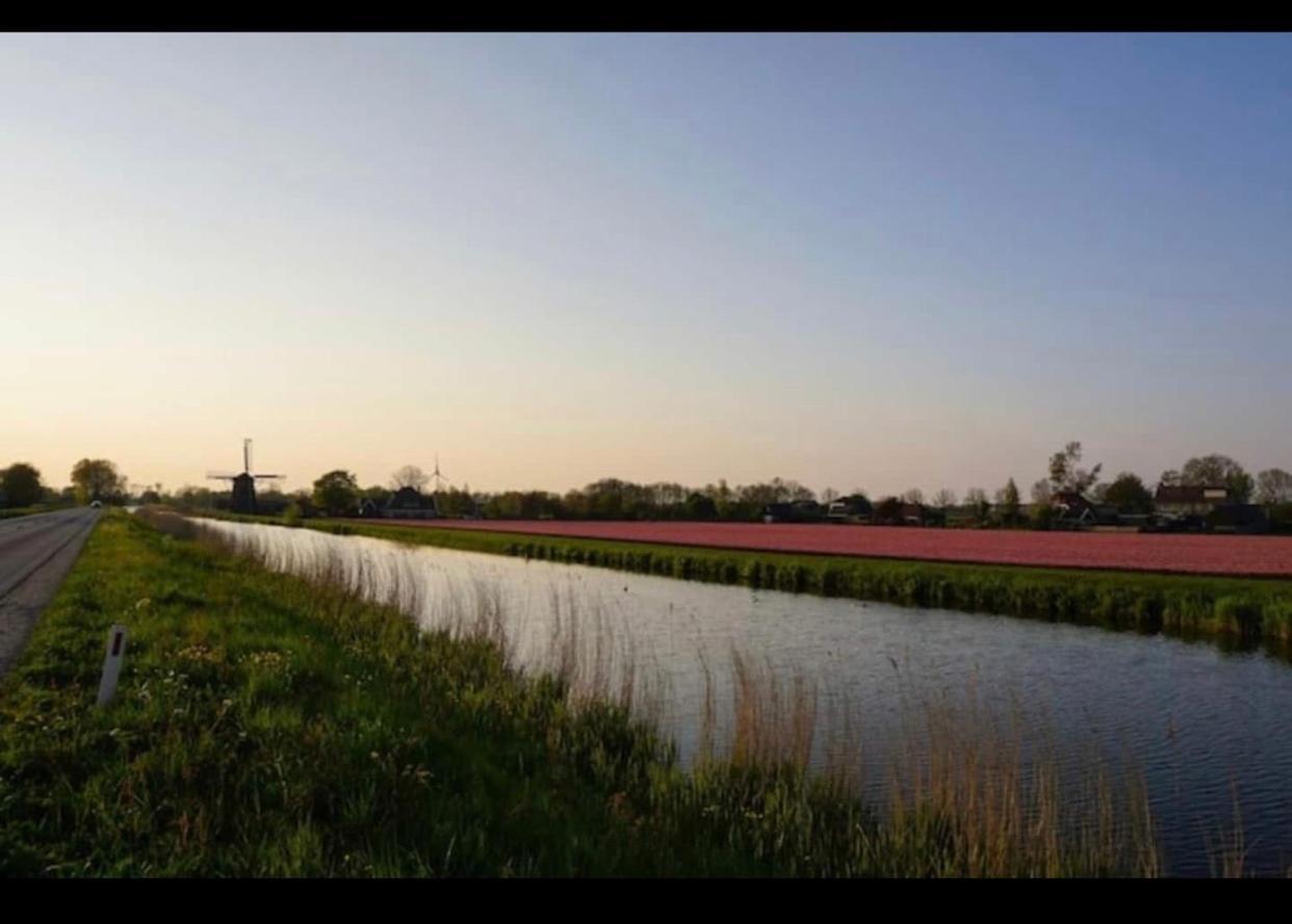 Cozy Chalet In Opmeer Near Amsterdam And Beach エクステリア 写真